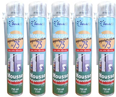 DSTOCK60 - LOT DE 5 MOUSSES EXPANSIVES MANUELLES 750ML - MOUSSE POLYURETHANE PROFESSIONNELLE - ISOLE, COLLE, REBOUCHE - EXTERIEUR ET INTERIEUR
