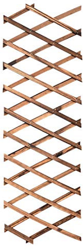 Treillis de jardin extensible pour plantes grimpantes - Support de clôture - 2 x 0,3 m - 0,9 x 200 x 30 cm - Épaisseur : 0,9 cm