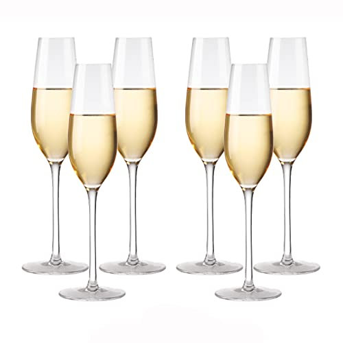 Champagnerkelche 6 Champagnergläser, Kristallglaskelche, Haushalts-Champagnergläser-Set, Geschenk for Hochzeit, Jahrestag, Weihnachten Schaumweingläser (Size : B)