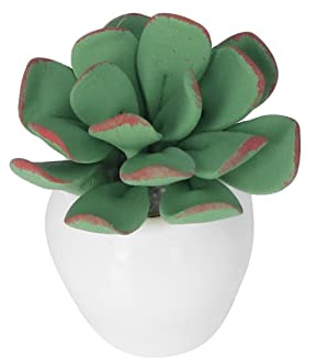 Ghzste Mini Bonsai Dollhouse Mini Flowerpot Greenery, Ceramic Flowerpot Plant Set, Carefully Designed and Made for DIY Decoration, Perfect Children and Collectors