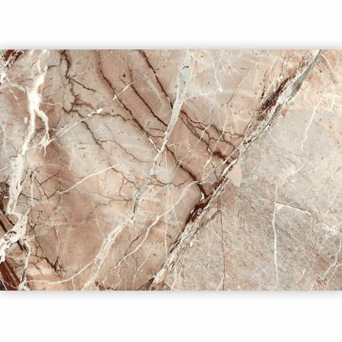 murando - Papier peint panoramique artistique 350x256 cm - Revêtement mural décoration pour chambre salon - Design unique et moderne - Marron blanc gris - Texture de fond en marbre f-C-0484-a-a