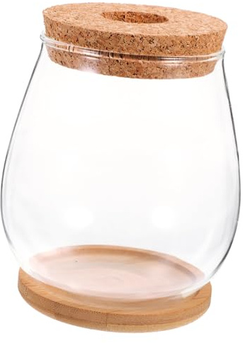 DOITOOL Vase Verre Transparent pour Plantes Aquatiques avec Support Bambou Terrarium Écologique Micro-Paysage DIY Décoration Simple et Artistique