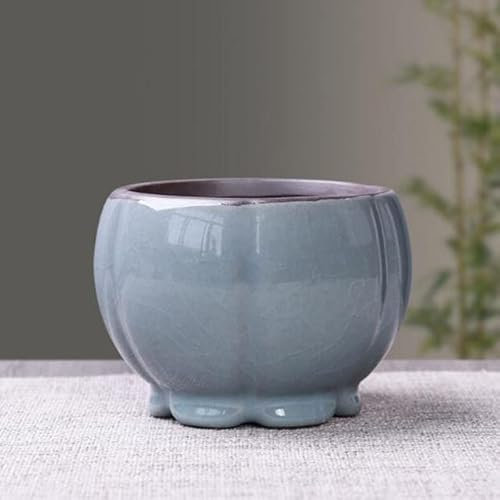 XIAOXIN Maceta de cerámica Retro para Flores, Maceta para Plantas suculentas de espárragos, jarrón Transpirable, contenedor para bonsái, decoración para el jardín y el balcón del hogar