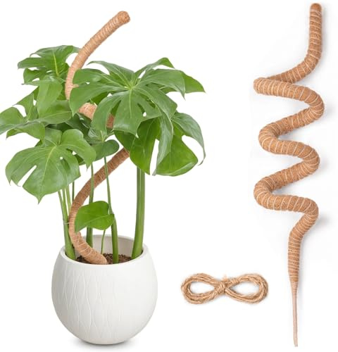 Böjbar mossstång för växter, SproutMaven 160 cm/63 tum Monstera mossstång kit för klätterväxter handgjorda smala växtpinnar för inomhusväxter