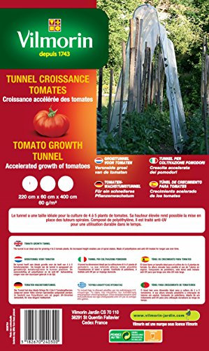 Vilmorin VA04130 Serre-Tunnel de Croissance pour Tomates 60 g/m² 220 x 60 x 400 cm