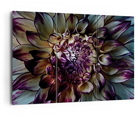Mehrteilige Bilder auf Leinwand 165x110cm Leinwandbild Blätter Agave Blume Groß XXL Wanddeko Bild Schlafzimmer Set 3 teilige Wandbilder Dekoration Wohnzimmer Canvas Wand Kunstdruck Art CE165x110-5122