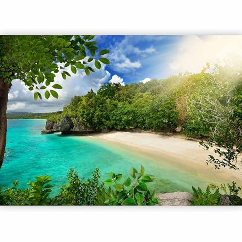 murando Fotomurales 400x280 cm XXL Papel pintado tejido no tejido Decoración de Pared decorativos Murales moderna Diseno Fotográfico Papel pintado playa mar naturaleza c-A-0003-a-a