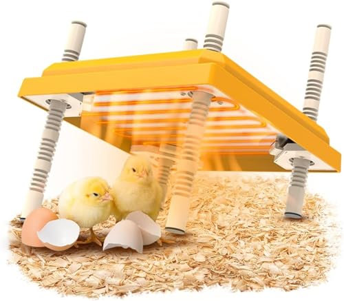 Incubateur d'oeufs, incubateur d'oeufs 10 * 10 pouces, couveuse de poussins, plaque chauffante d'élevage de poussins, chauffage de couveuse, incubateur de poulet à hauteur réglable, lampe chauffante,