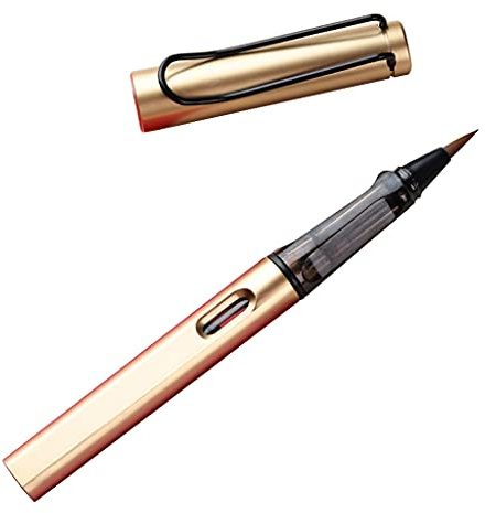 DUESI - Penna Stilografica Ricaricabile per Calligrafia, con Inchiostro Nero