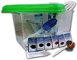 Triops Longicaudatus Urzeitkrebse Komplett Set Advanced III mit 150 Eiern und grünem Deckel von Triops King - Inkl. großen Becken, viel Futter, Aufzuchtanleitung, Sand, Eier Sand Gemisch mit Triopseiern, Thermometer, Kescher und viel Zubehör