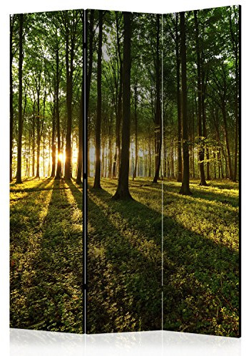 RAUMTEILER/PARAVENT B&D XXL - Paravent Raumteiler Innen Wald Baum Natur 135x172 cm 3-teilig Einseitig Raumtrenner Raum Trennwand Holz Room Divider Spanische Wand Raum Abtrennung grün c-B-0027-z-b
