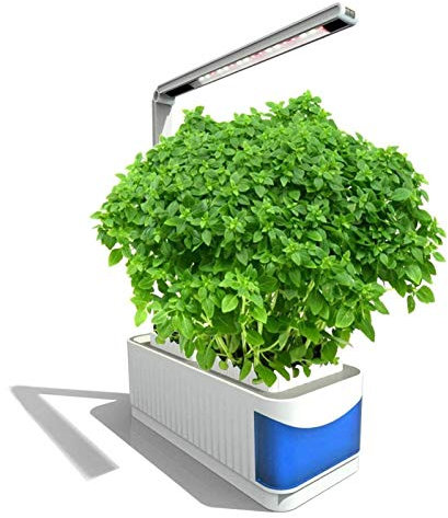 Attrezzature Per La Coltivazione Idroponica Di Erbe Da Interni Coltiva Piante Leggere Kit Da Giardino Intelligente Intelligente Per Interni Pomodori Di Marijuana All'aperto Verdure Di Cannabis
