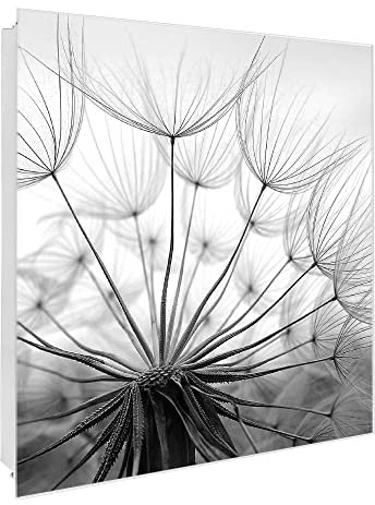 banjado Großer Schlüsselkasten Glas - Schlüsselbox 30x30cm mit 50 Haken - Schlüsselkasten modern für Schlüsselaufbewahrung mit beschreibbarer, magnetischer Glastür - Motiv Pusteblume