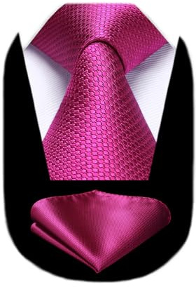 HISDERN Krawatten für Herren Einfarbige Formal Krawatte mit Einstecktuch Set Klassisch Hochzeit Elegant Business Party
