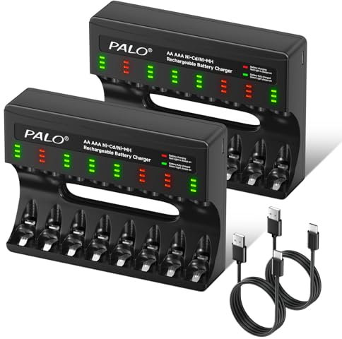 CITYORK Caricatore a 8 slot per batteria NIMH/NICD, ricaricabile, AA AAA, micro USB, ricarica rapida, con indicatore LED (2 caricabatterie + slot indipendente)