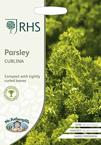 Mr Fothergill's - RHS Parsley Curlina, Green