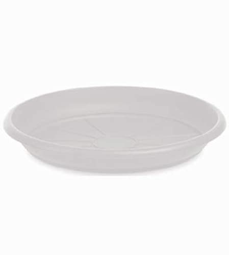 SOTTOVASO X Vaso Bianco d.50 5705