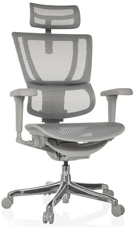 hjh OFFICE Bürostuhl ergonomisch ERGOHUMAN Slim Ultra G GEN2 Originales Design, Bürosessel mit Flexibler Lendenwirbelstütze, Netzbespannung, Grau