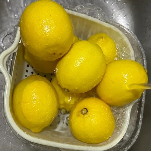 semillas de limonero - limonero - interior de limon columnares, fresca de zapote, resistentes 60pcs