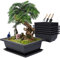 MissFox Set di 6 Vasi per Piante in Plastica con Sottovaso, Vaso Bonsai Grande Rettangolare con Utensili da Giardino, Vasi Fiori da Giardino da Interno e da Esterno, 16x12x6cm