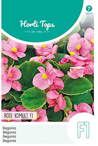 Hortitops 14073 Bégonia Rose Comet F1 (graines de fleurs)