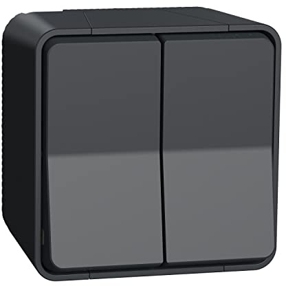 Schneider Electric - Mureva Styl - Double va et vient - saillie - IP55 - IK08 - connexion auto - gris - MUR35022