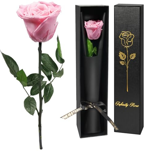 Yamonic Ewige Rose Geschenke für Frauen,Infinity Rose mit Stiel Geburtstagsgeschenk Frauen, Echte Rose in Geschenkbox Geschenke für Mama,Konservierte Blume Geschenk Valentinstag Weihnachten,Rosa Rose