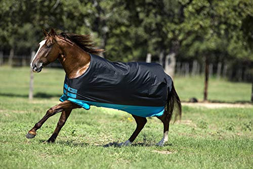 Horseware Amigo Mio Turnout medium black turquoise Weidedecke Winterdecke (125)