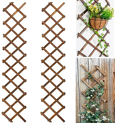 Avalution Extensible Natural Garden Wooden Fence Lattice Frame Plant Support Frame Natural Wooden Lattice Frame for Cucumber Climbing Plant Vines Ivy Rose 75x11.8 Lattice Fence Panel(2Pack)