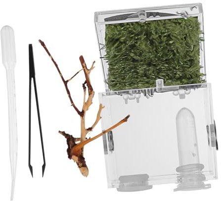 MERRYHAPY Transparentes Terrarium Für Spinnen Reptilienzuchtbox Mit Zangen Und Pipette Zubehör Für Zucht Von Kleinen Insekten Und Reptilien Robust Und Leicht Für Hobbyzüchter
