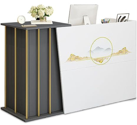 Receptiondisk med Lådor, Kassadisk för Frisörsalong, Butiksdisk och Mottagningsdisk, Skåp och Hylla, Mottagningsmöbel för Kassa och Detaljhandel, Klinik C 120cm