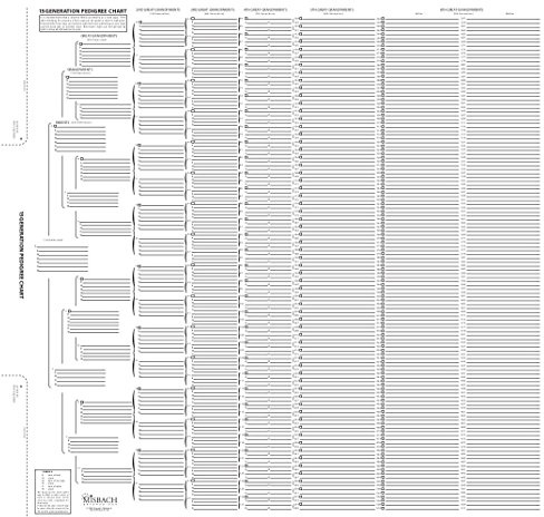 TreeSeek® 15 Generation Pedigree Chart | Blank Genealogy Forms for Family History and Ancestry Work