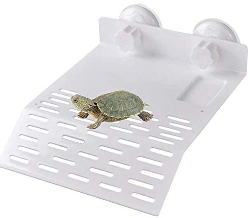 Dancepandas Plaque Flottante Tortue Acrylique 2PCS Rampe Aquarium Tortues Décor (l)