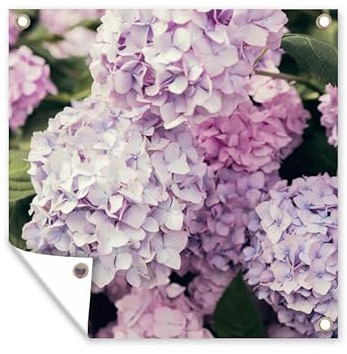 MuchoWow Outdoor-Poster Poster Wanddeko draußen Deko Garten Gartenposter 100x100 cm Rosa Hortensie