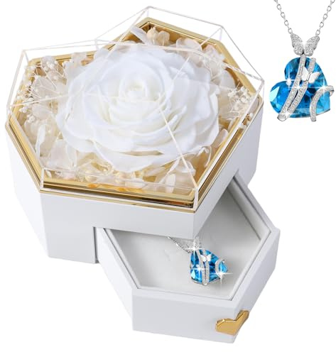 PatNlevs Ewige Rose Geschenkbox mit Kette, Geschenke für Frauen, Geburtstagsgeschenke für Grauen, Geschenk Freundin, Geburtstagsgeschenk für Mama, Schwester, Freundin