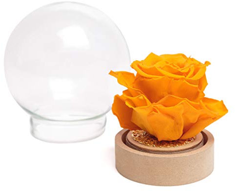ROSEMARIE SCHULZ Heidelberg Infinity Rose im Glas die Schöne und das Biest echte lang haltbare Rose in Glaskugel (Large, Gelb)