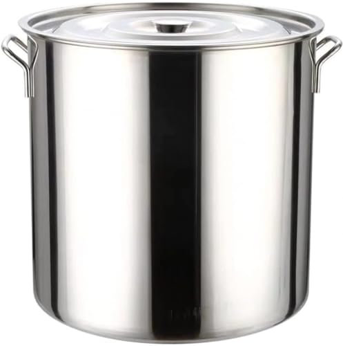 Olla grande, olla con tapa, olla de acero inoxidable con tapa, acabado espejo, acero inoxidable, 10 L