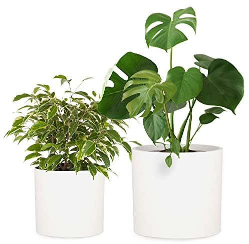 Fox & Fern Übertöpfe, Blumentöpfe für den Innenbereich, für Zimmerpflanzen, passend für moderne Pflanzenständer von Mid-Century, Ablaufstöpsel, Fiberstone, mattes Weiß, 30,5 cm und 38,1 cm 2er Set
