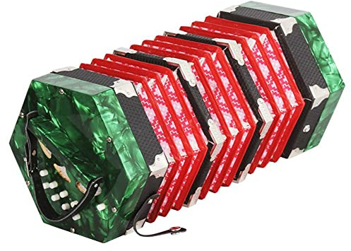 20 Tasten Akkordeon Ziehharmonika, Tastaturinstrument, mit Tragetasche, für Erwachsene, Anfänger, Studenten, faszinierender weicherer Klang (Farbe: Grün)