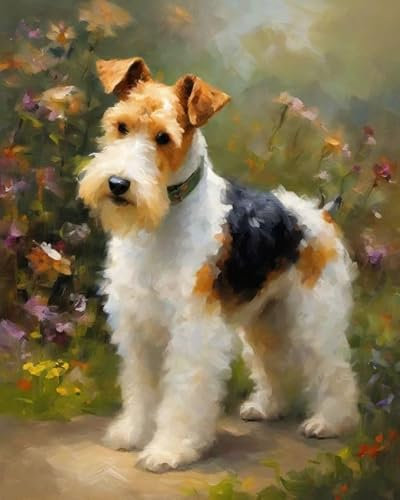 ZMHZMY Malen nach Zahlen Erwachsene,Draht-Foxterrier-Hund,DIY Malen nach Zahlen für Erwachsene, Malset mit Leinwand und Pinsel,40 x 50 cm,Rahmenlos