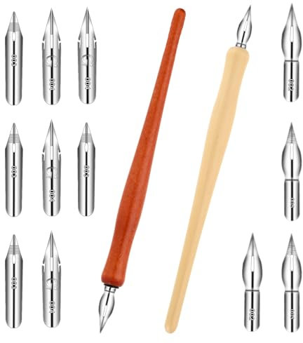 Larrel 14 Stück Kalligraphie Stift Set,Schreibfeder Set mit 2 Federhalter 12 Federn Kalligraphie Tauchstift Comic Stiftspitzen Zeichenfeder Künstler Schönschreibfüller für Schreiben, Malen, Signieren