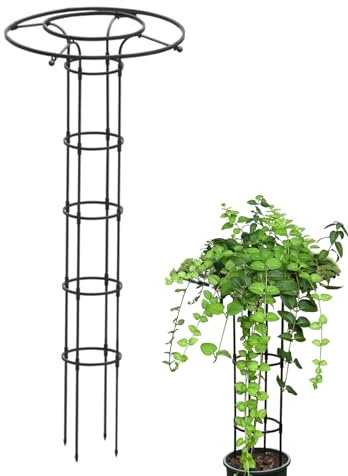 Obelisk Rankhilfe Metall,Outdoor Rankgitter Für Kletterpflanzen, Vertikaler Schirm-gartenspalier-Turm, Einstellbare Höhen Pflanze Spalier Für Topfpflanzen, Tomaten, Gurken, Clematis, Rose