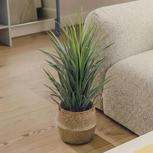 BLAINE Planta Artificial de Yuca Grass 90 cm Decoración de Interiores y Terrazas con Aspecto Hiperrealista Que No Necesita Mantenimiento