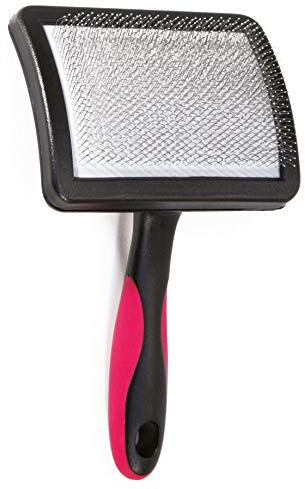 Croci Vanity - Cardesr pour Chiens, pour Tous Types des Poils, Brosse pour Chiens avec desnts en Acier Inoxydable, enlève Le sous-Poil et Démêle Les Noeuds, 12 x9 cm