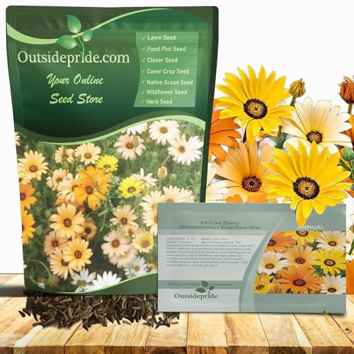 Outsidepride African Daisy Seed Mixture - 5000 Pcs Annual Flower Seeds for Planting Outdoors with Long-Lasting Blooms, Drought-Tolerant, Easy to Grow for Sunny Gardens & Borders