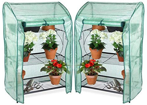 Lacewing 3-Tier Mini Greenhouse Cold frame Shelf Plant Germination Stand with Removable Cover (2)