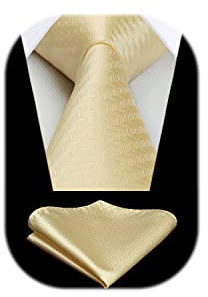 HISDERN Herr slips elegant Check Plaid Tupp näsduk bröllop slipsar & näsduk set klassisk, Beige, One size