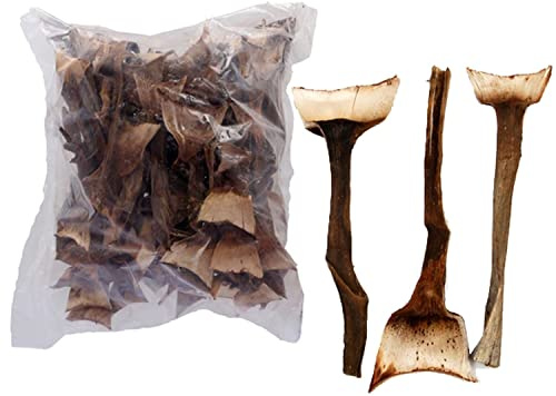 Agave Mini - Bolsa de 1 kg