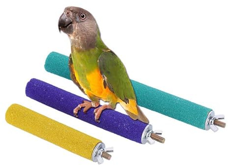 PIVBY Wood Bird Cage Perch Colorful Parrot Stand Toy Platform Paw Grinding Stick for Small Medium-Sized Bird Parakeet Cockatiel Conure Budgies Lovebird Canary Colors Vary Pack of 3