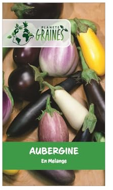 50 graines d'aubergines mixtes variétés anciennes, mélange de couleurs et formes pour ratatouilles et grillades